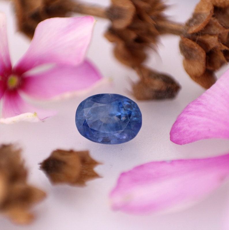 May include: An oval-cut, faceted blue gemstone is the focal point of this image. The sapphire is surrounded by pink flower petals and dried seed pods, creating a natural and elegant composition. The gemstone's facets reflect light, showcasing its clarity and color.