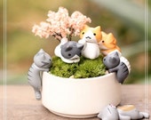 6pc Crawling Cat Fairy Garden Figure, Miniature Figurines, Desk Decoration, Terrarium Accessories,Succulents Office Décor