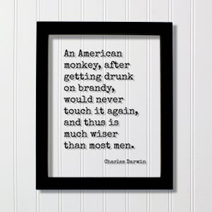 Charles Darwin - Ein amerikanischer Affe, der sich nach Brandy betrinkt, ihn nie wieder anfassen würde und daher viel weiser ist als die meisten Männer Nüchterne Nüchternheit