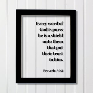 Puede incluir: Impresión enmarcada en negro con fondo blanco y texto negro que dice "Every word of God is pure: he is a shield unto them that put their trust in him. Proverbs 30:5"