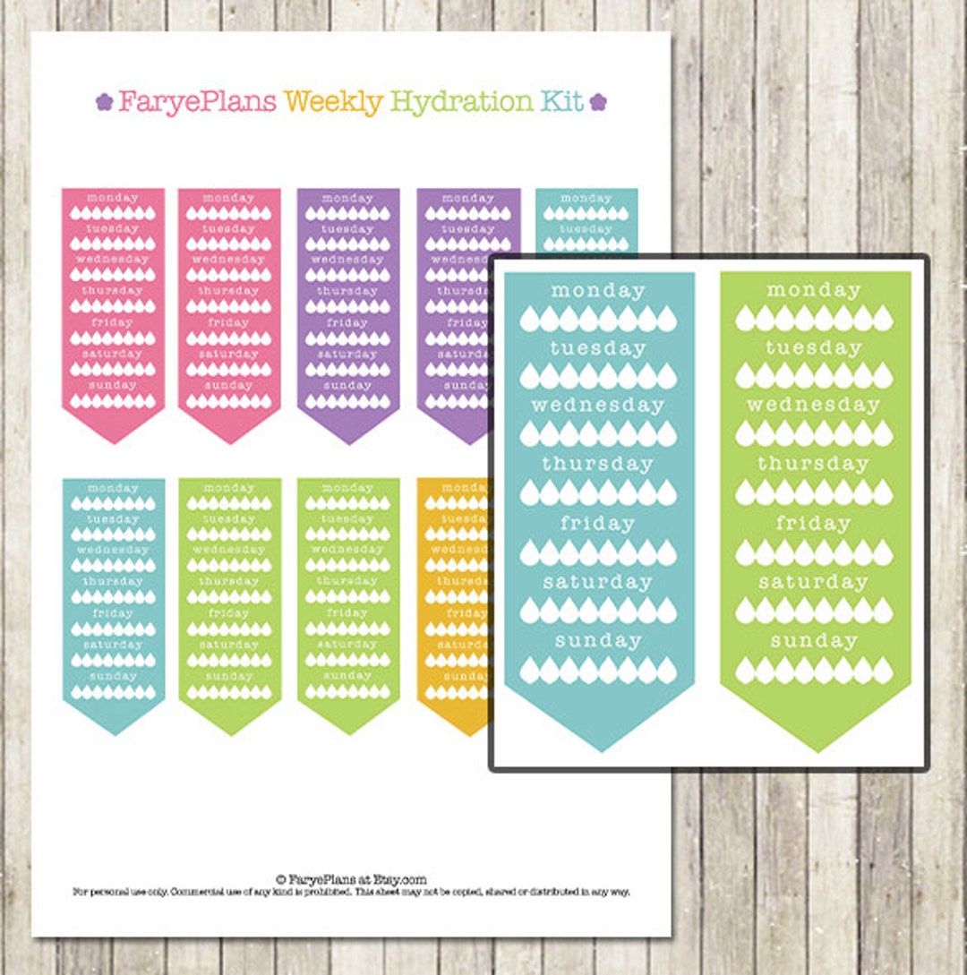 Weekly Hydration Water Intake Printable Planner Stickers for Erin ...