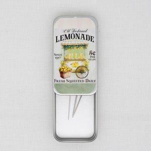 Lemonade magnetische Nadeldose für Kreuzstich/Stickerei/Nadelspitze/nähen