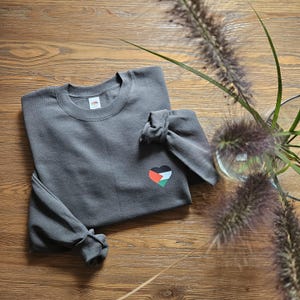 Palästina Hoodie, Free Palästina Sweatshirt, Palästina Sweatshirt, Stand mit palästinensischen Hoodie, Free Gaza, Freiheit Gaza, Palästina-Protest