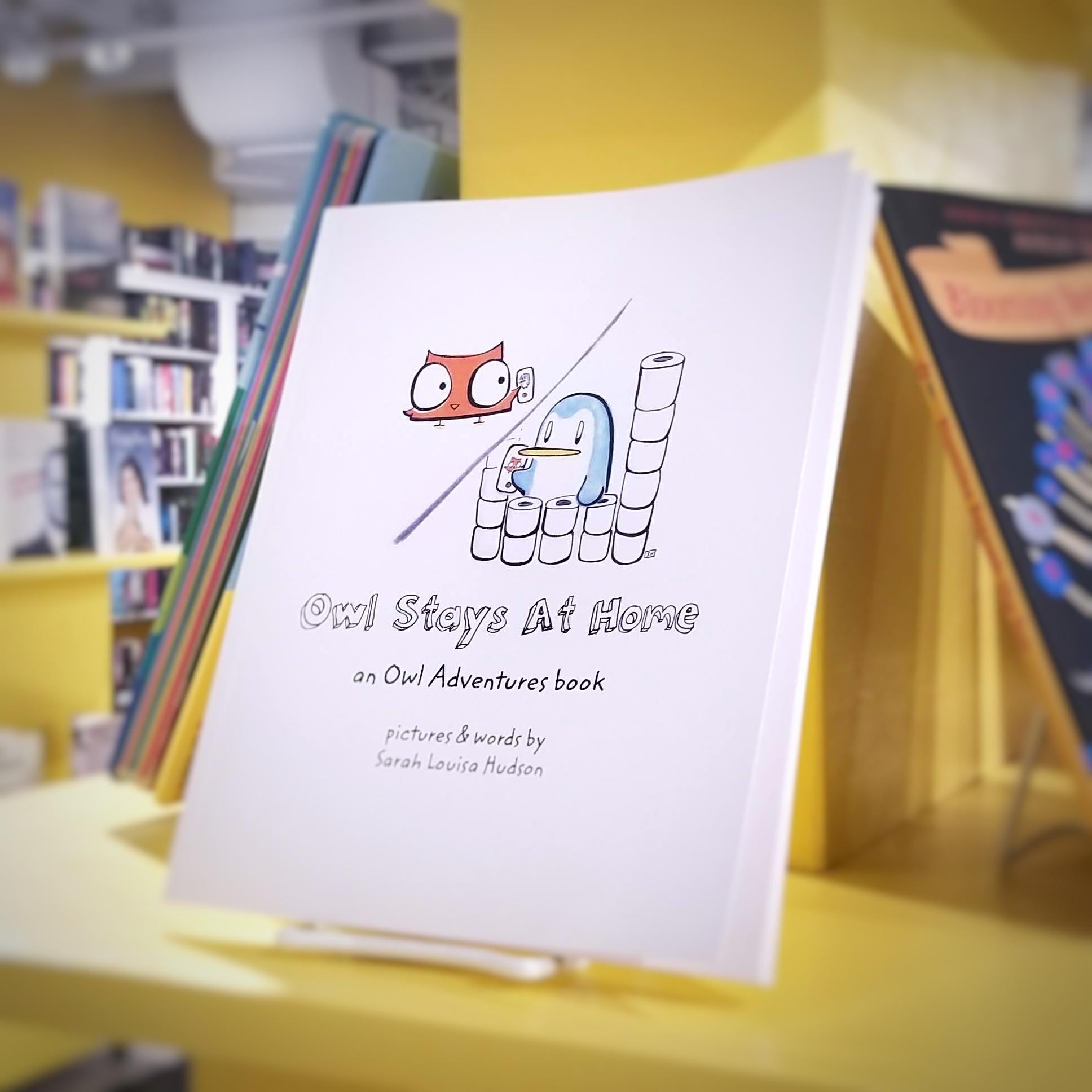 Owl Stays At Home: An Owl Adventures Book