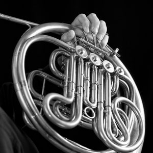 French Horn -- photo, digital download