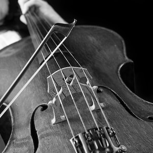 Cello -- Foto, digitaler Download
