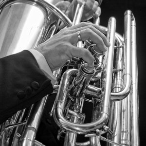 Tuba -- photo, digital download