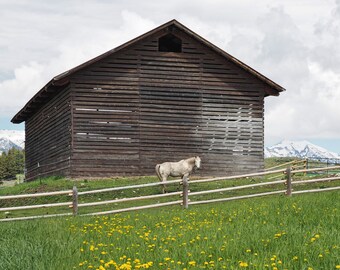 Rustic Barn -- photo, digital download