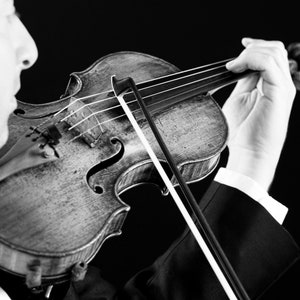 Violine -- Foto, digitaler Download