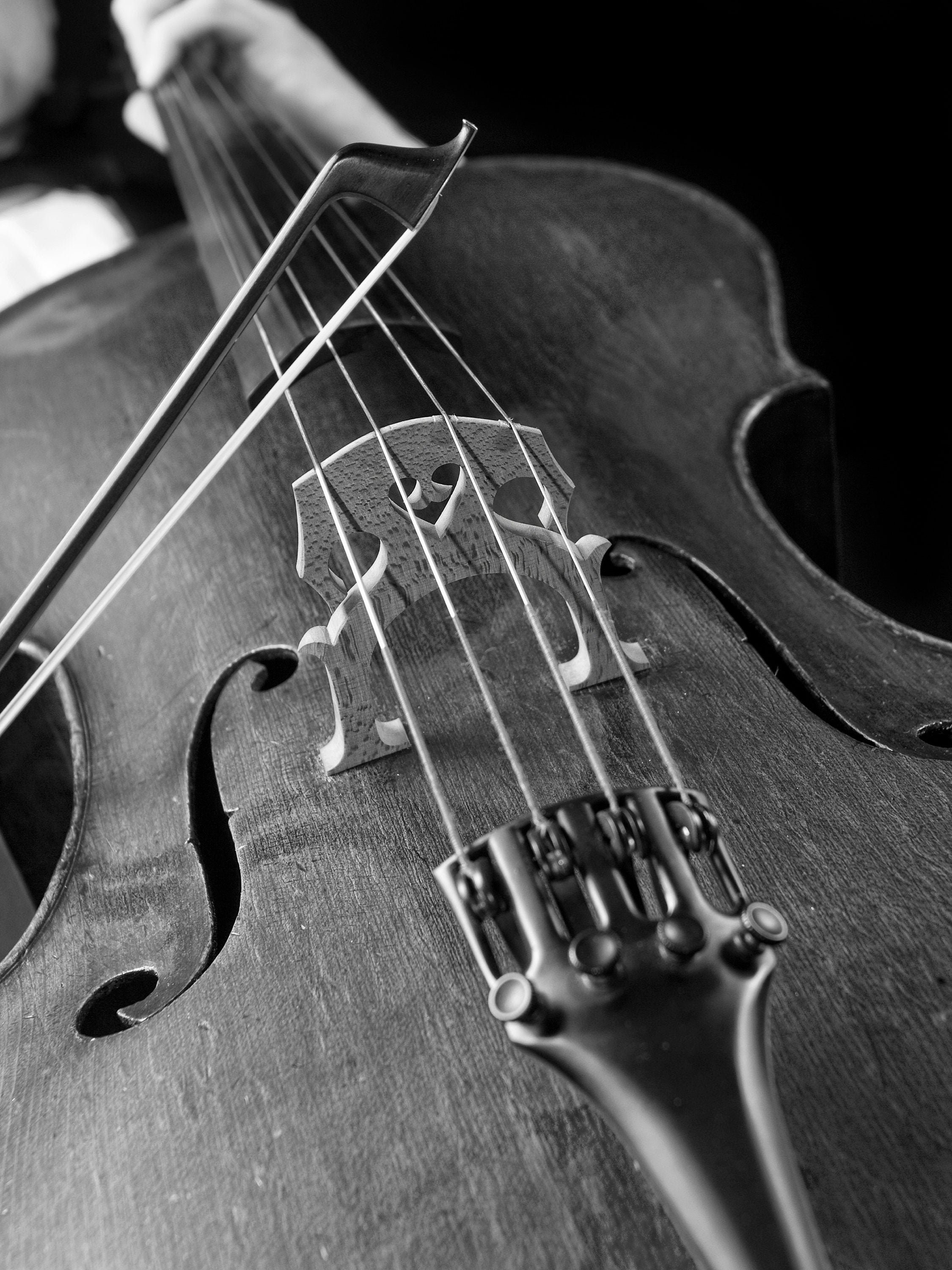 Cello -- photo, digital download