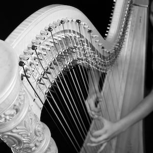 Harp, orchestra, strings, instrument -- photo, digital download