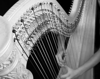Harp, orchestra, strings, instrument -- photo, digital download