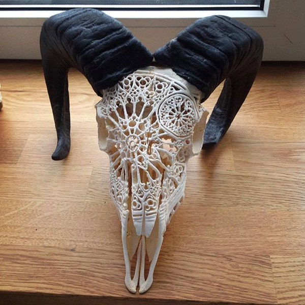 Hand carved ram skull  "Notredame"