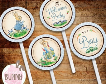 May include: Three round blue and white cupcake toppers with a Peter Rabbit theme. One topper features Peter Rabbit holding a carrot, another features Peter Rabbit standing in a field of flowers, and the third topper says "It's a Boy" in blue text.