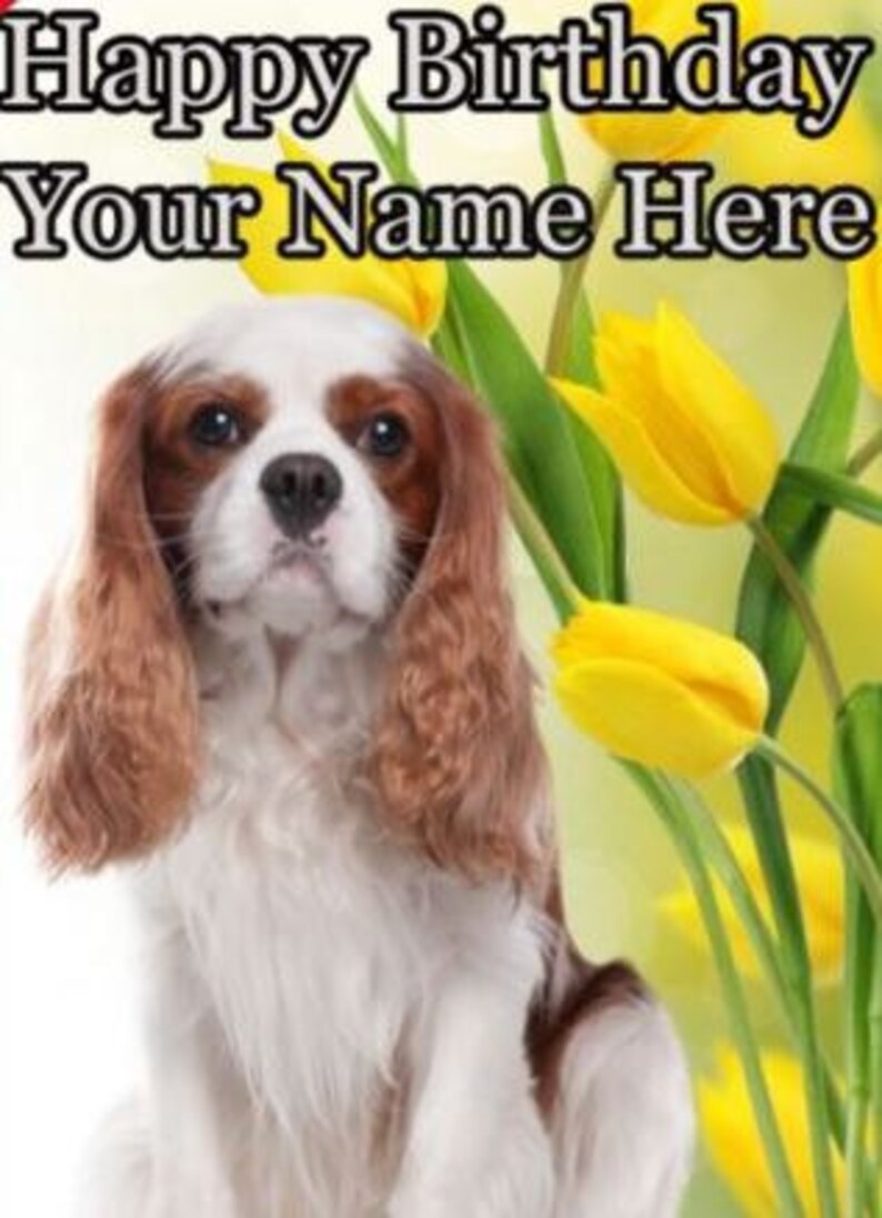 Fetes Occasions Speciales Braque De Weimar Joyeux Anniversaire A5 Personnalise Carte De Vœux Pid402 Chien Theme Maison Sedmakprodukt Hr Fetes Occasions Speciales Braque De Weimar Joyeux Anniversaire A5 Personnalise Carte De Vœux Pid402 Chien Theme Maison Sedmakprodukt Hr