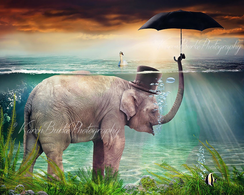 Funny elephant sale