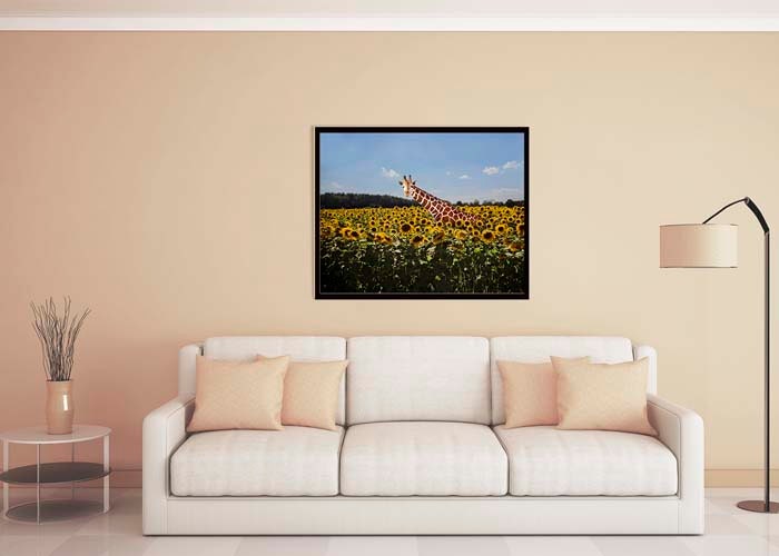 Funny Giraffe Print, Photography Print, Sunflower Field, Whimsical ...