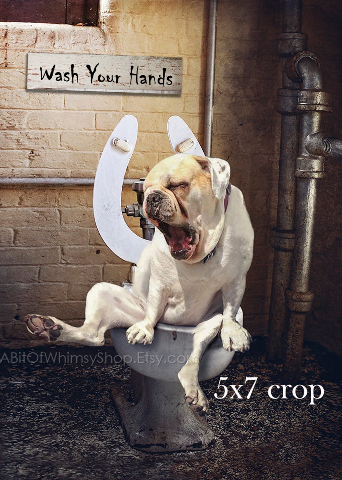 Bathroom Art Funny Dog Print Toilet Art Whimsical Bulldog Etsy