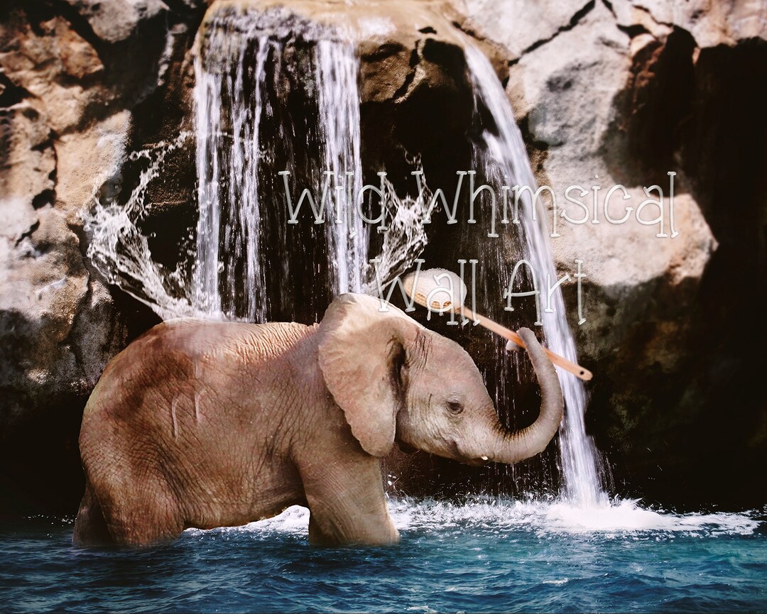 Elephant Photo Art, Bathroom Decor, Baby Elephant, Bubble Bath, Animal