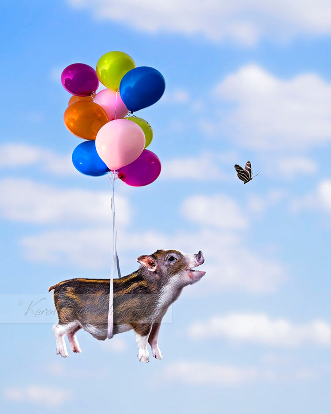 Funny Piglet Print When Pigs Fly Teacup Pig Micro Pig Etsy