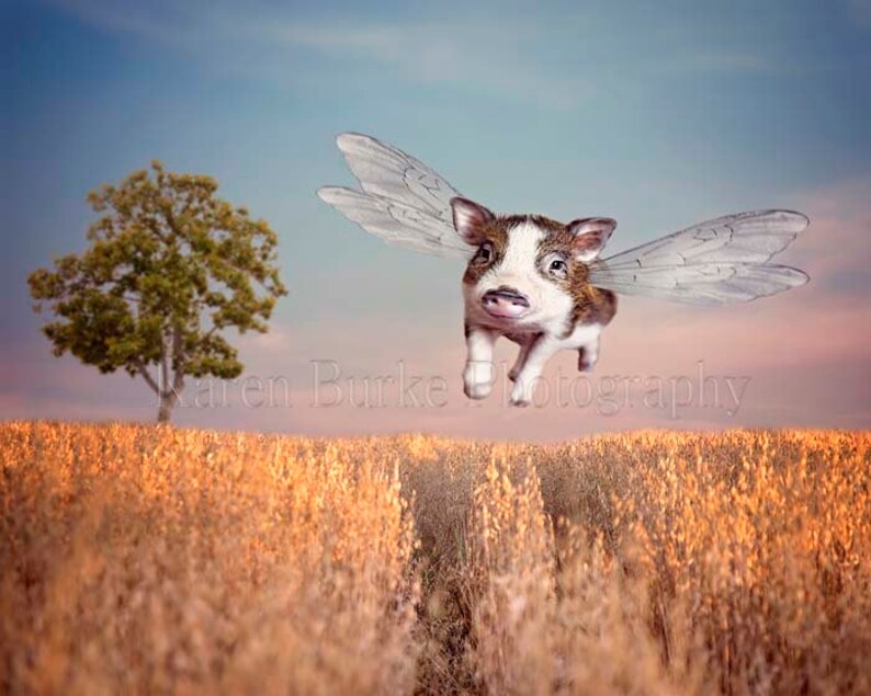 Flying Pig When Pigs Fly Cute Pig Print Whimsical Wall Etsy
