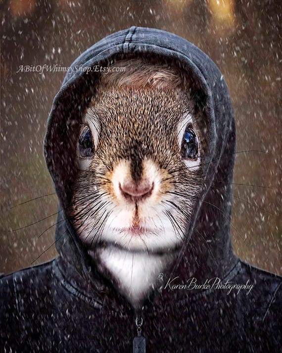 Ecureuil Fantaisiste Art Animal Drole Impression De Etsy Canada