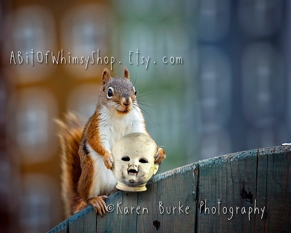 Squirrel Art Photography Print Dark Humor Creepy Doll Head - Etsy Squirrel Art Photography Print Dark Humor Creepy Doll Head - Etsy