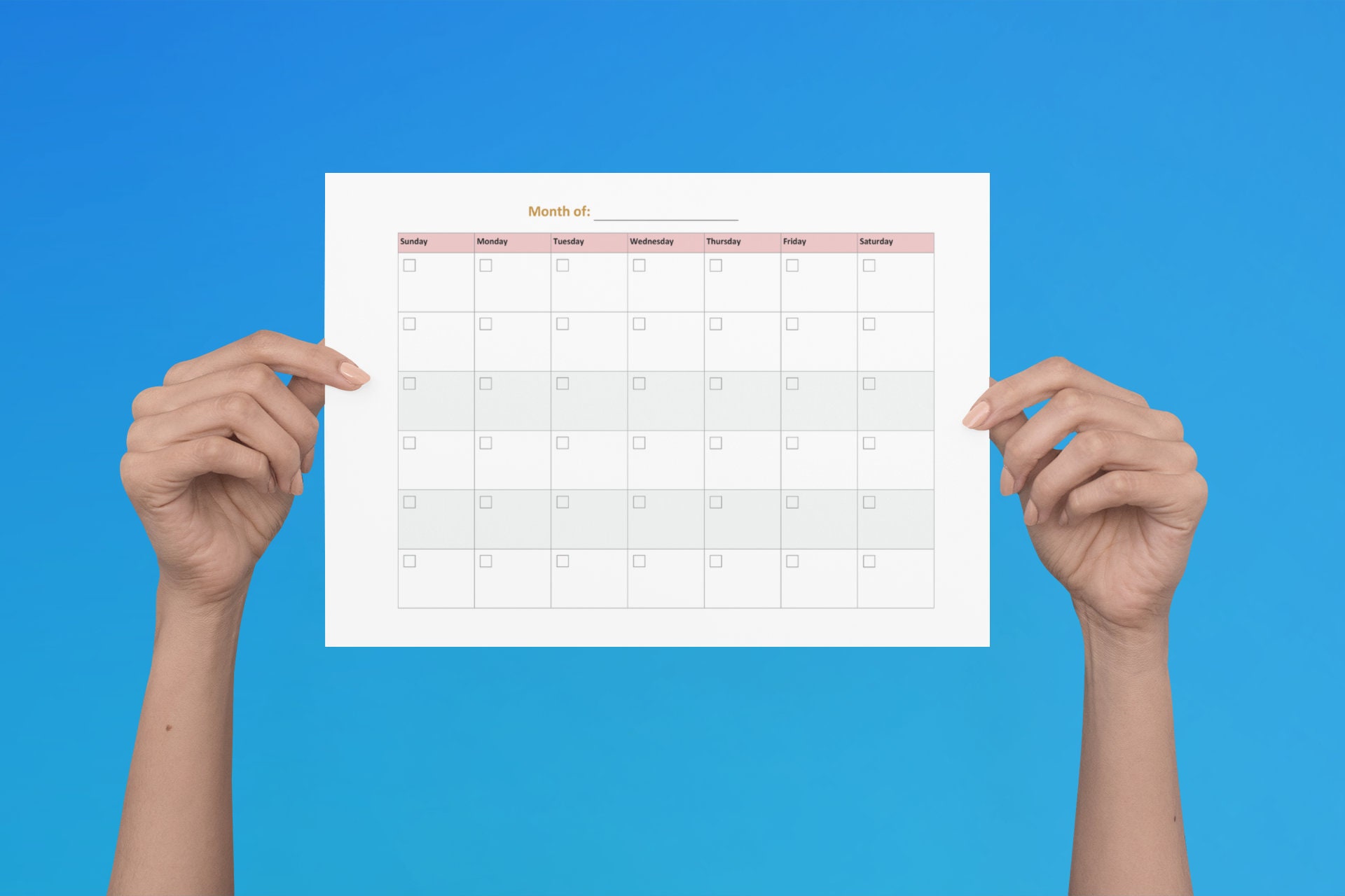 Blank Monthly Calendar - Student Planner - Printable/editable PDF ...