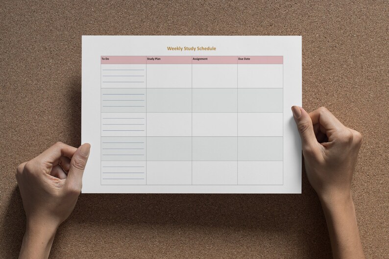 May include: A white weekly study schedule planner with headings for "To Do", "Study Plan", "Assignment", and "Due Date".
