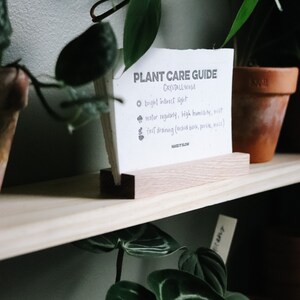 Seeded Plant Care Cards house plants gardening seeded paper plantable plant mom plant lover image 2