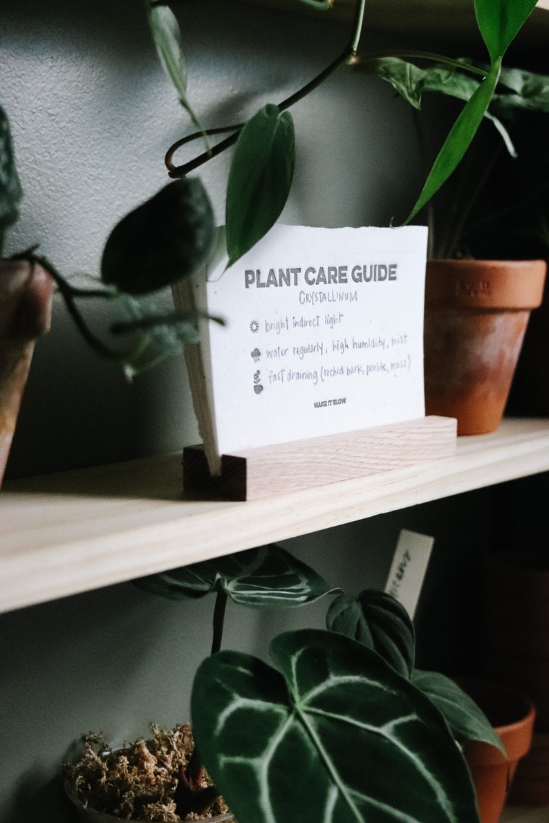 Seeded Plant Care Cards house plants gardening seeded paper plantable plant mom plant lover image 2