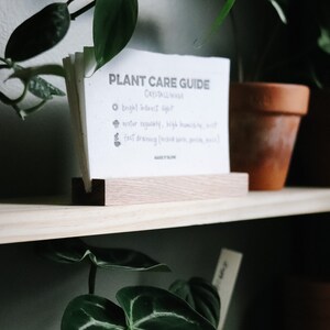 Seeded Plant Care Cards house plants gardening seeded paper plantable plant mom plant lover image 8