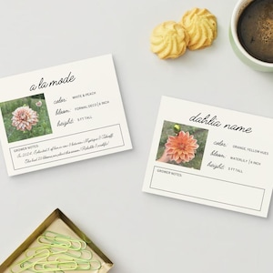 May include: Two cards with information about different types of dahlias. The first card shows a pink dahlia with the name "a la mode" and the text "color: white & peach, bloom: formal deco (6 inch), height: 5 ft tall". The second card shows an orange dahlia with the name "dahlia name" and the text "color: orange, yellow hues, bloom: waterlily (6 inch), height: 5 ft tall".