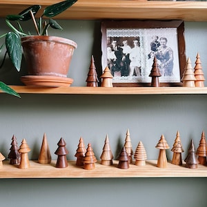 May include: A shelf with a variety of wooden Christmas tree ornaments. The ornaments are in different sizes and shades of brown. There is a framed photo of a family on the top shelf.