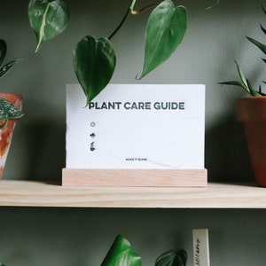 Seeded Plant Care Cards house plants gardening seeded paper plantable plant mom plant lover image 1