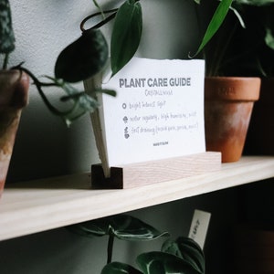 Seeded Plant Care Cards house plants gardening seeded paper plantable plant mom plant lover image 6