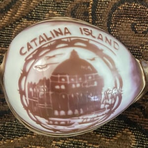 May include: A pearlescent seashell with the words "CATALINA ISLAND" arched across the top. The shell features a brown illustration of a domed building and surrounding landscape. The shell has a smooth, glossy finish.