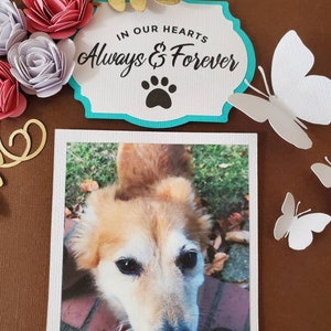 Pet Photo Flower Memorial Shadow Box-dog Photo Shadow Box-pet Flower ...