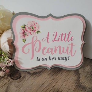 A little peanut is on her way diaper cake sign tag-Little peanut diaper cake sign tag-Lil peanut girl sign tag-Little Peanut theme shower