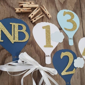 Newborn boy girl hot air balloon milestone banner-Hot air balloon monthly banner-Milestone newborn balloon banner-milestone boy girl banner