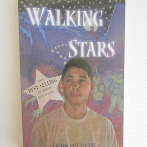 Teen Novel