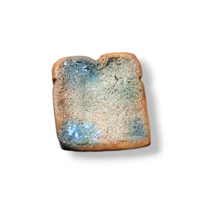 Moldy Bread Magnet | Miniature Food Magnet