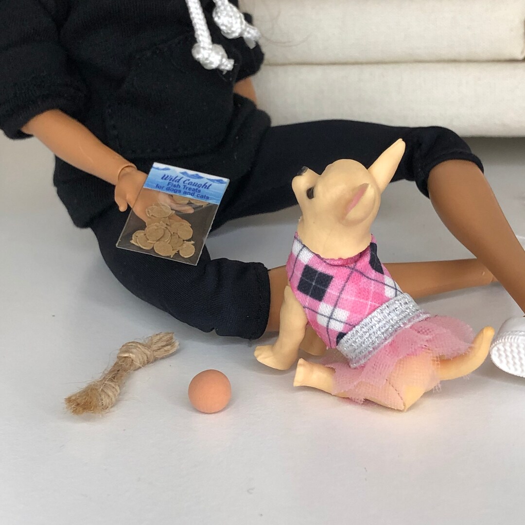 16 Scale Miniature Dog Toys and Treats Bundle Handmade Etsy