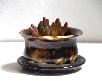 Tulip shaped, rich dark chocolate brown succulents, cacti, or seedlings plant pot and saucer, hand made, white stoneware