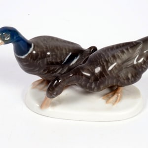 Pair of Mallard Ducks by Himmelstoss, Rosenthal