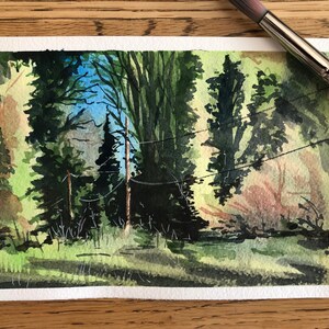Può includere: Dipinto ad acquerello di una scena di bosco con alberi alti e linee elettriche. Gli alberi sono dipinti in tonalità di verde e marrone, e le linee elettriche sono sottili e nere. Lo sfondo è un cielo azzurro chiaro.