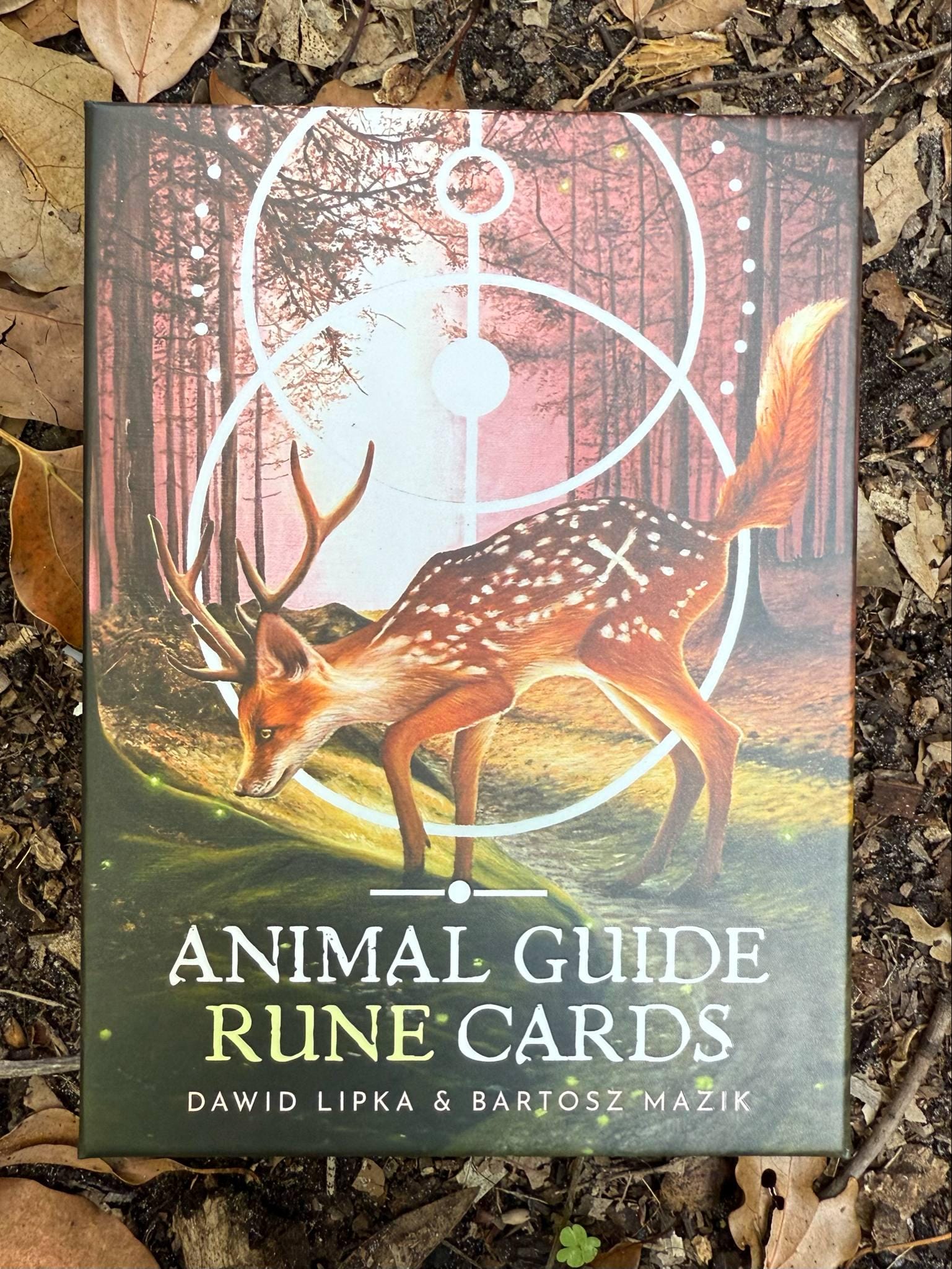 Animal Guide Rune Cards // Oracle Deck - Etsy