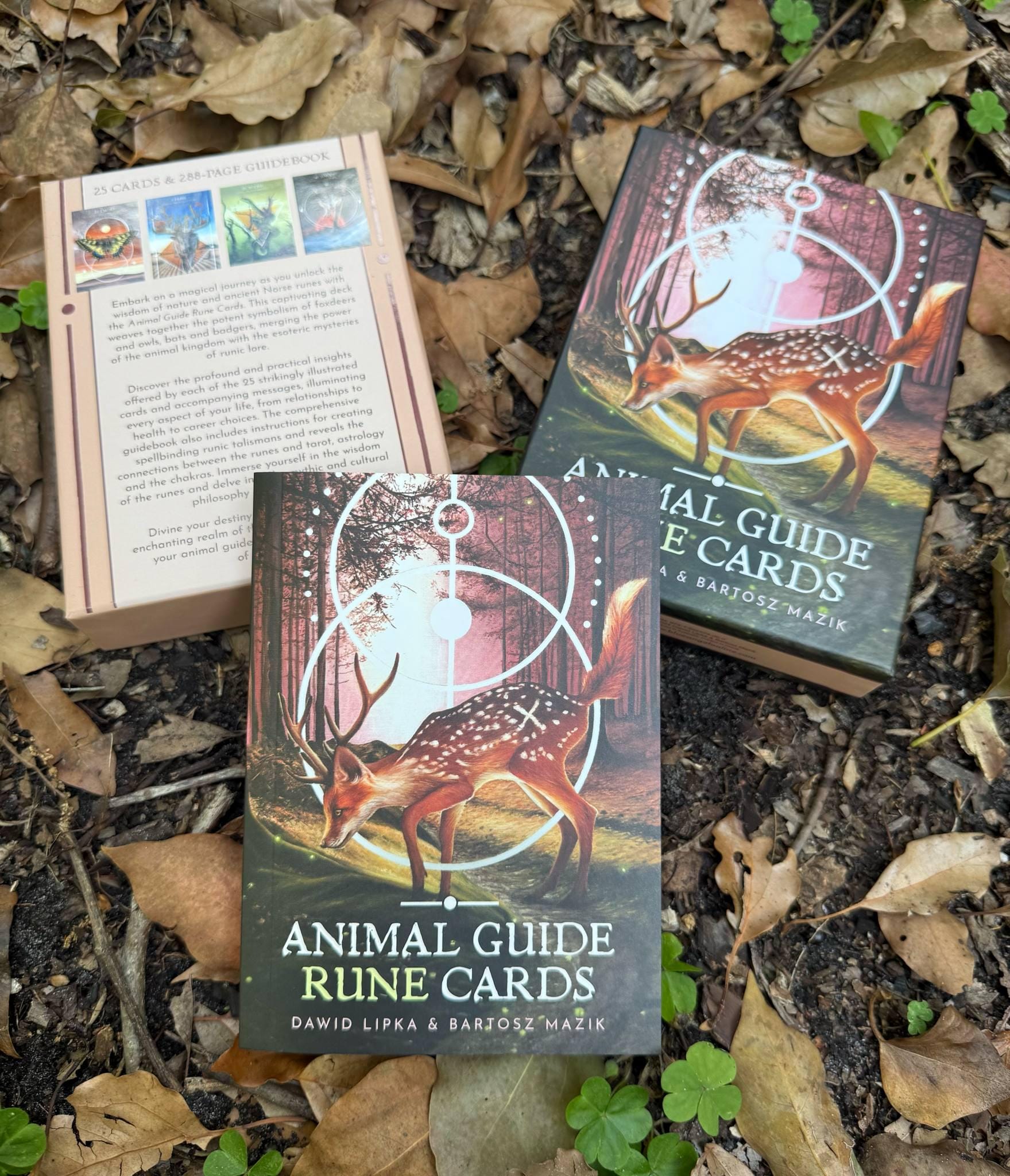 Animal Guide Rune Cards // Oracle Deck - Etsy