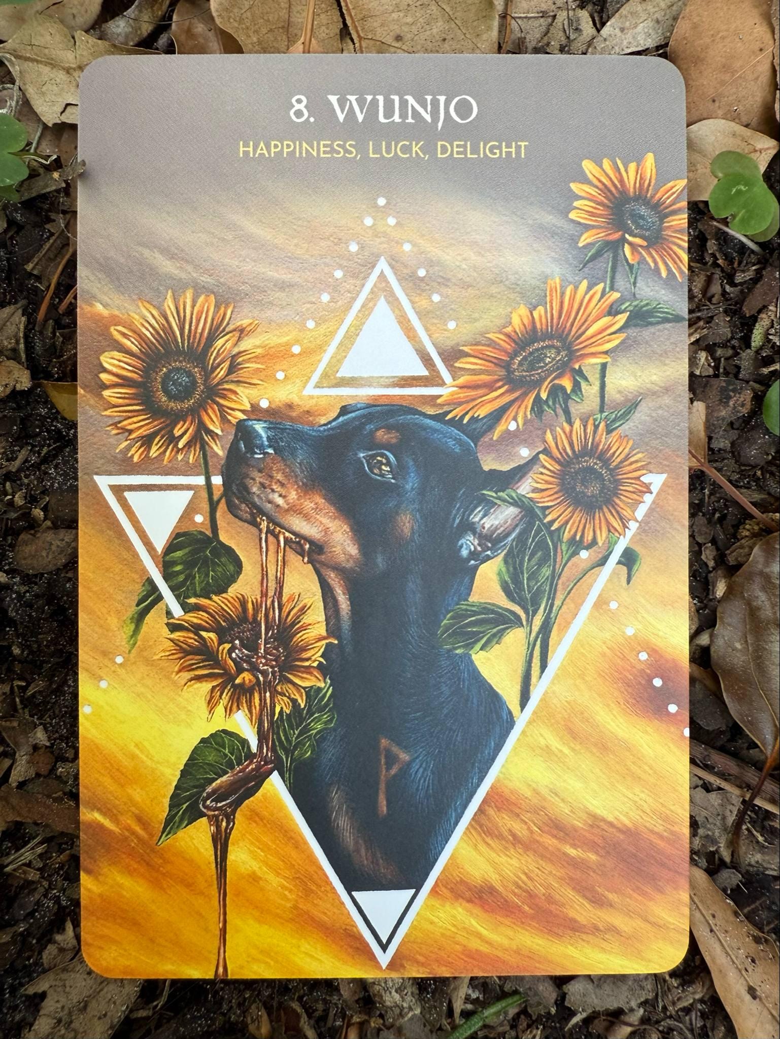 Animal Guide Rune Cards // Oracle Deck - Etsy