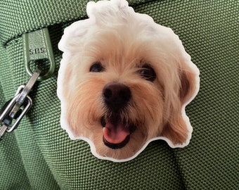 In yo' Face! Custom Tag or Pin of your face!